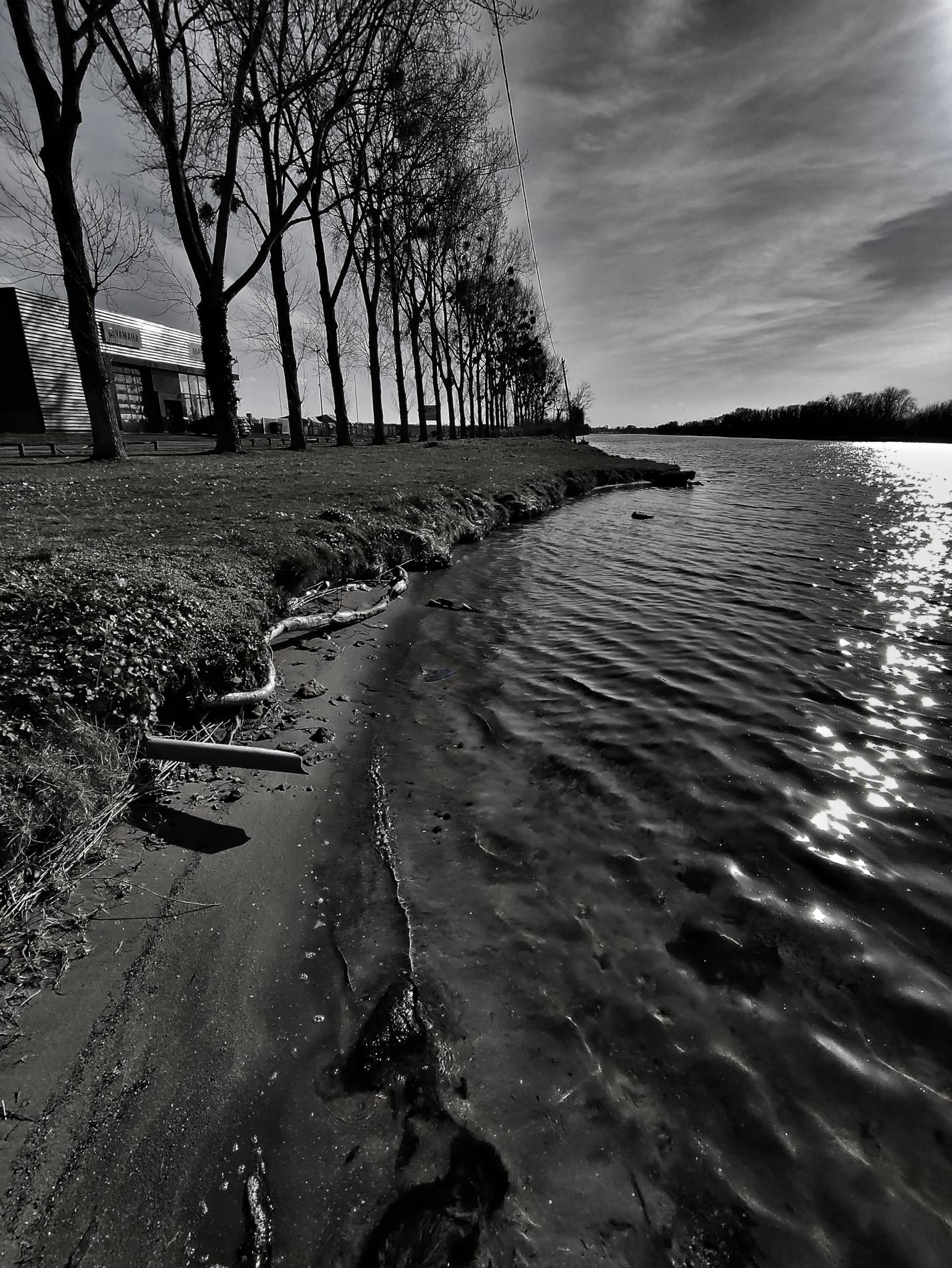 Berges du canal de Caen