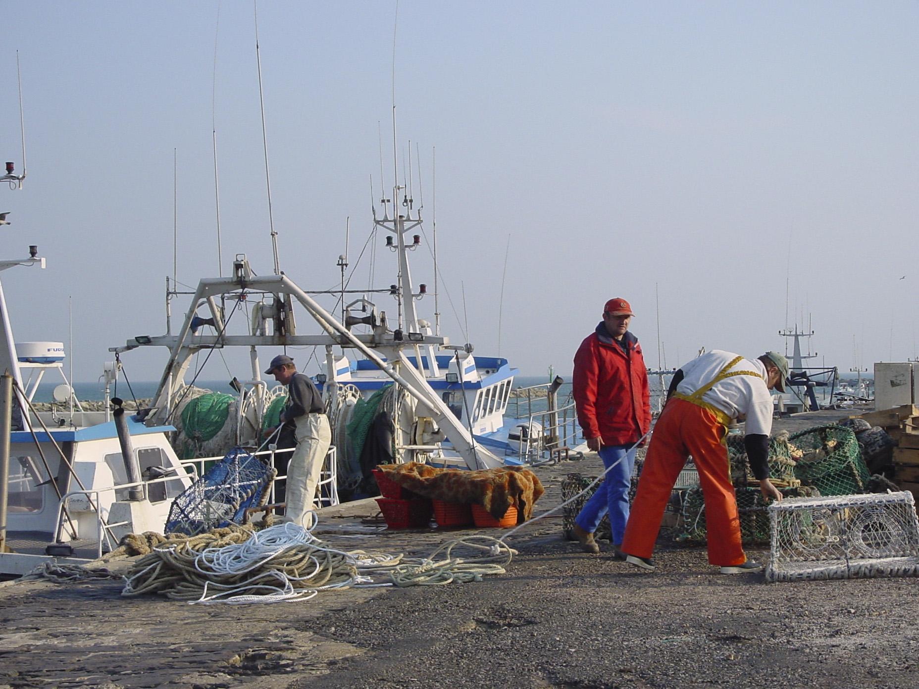 PortdeCherbourg-Pêcheursàquai®CCIOuestNormandie